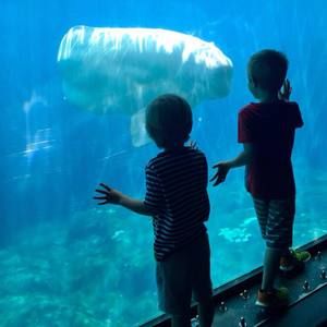 Meet your Posher, Tera